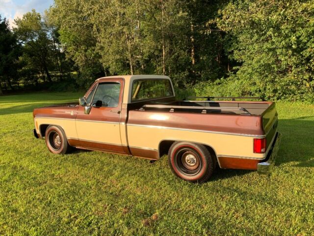 1978 Brown/Tan Chevrolet C-10 Truck