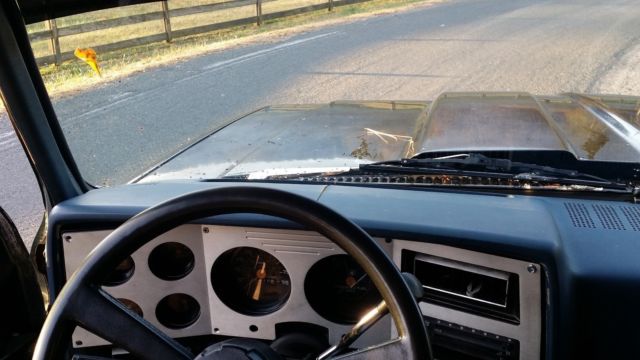 1982 Chevrolet C-10