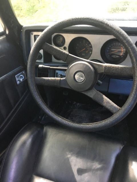 1980 Blue Chevrolet Camaro Coupe