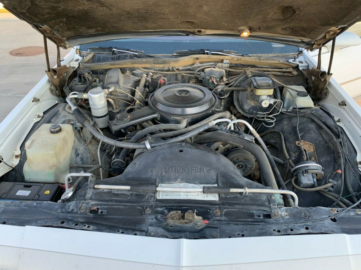 1986 White Chevrolet Caprice Sedan