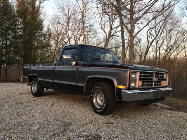 1987 Gray Chevrolet C/K Pickup 1500