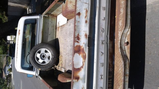 1969 Chevrolet Other Pickups Standard Cab Pickup