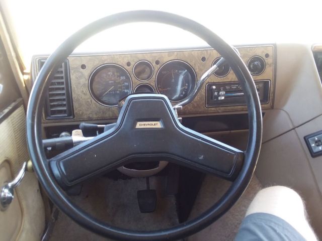1984 Brown Chevrolet Other Standard Passenger Van