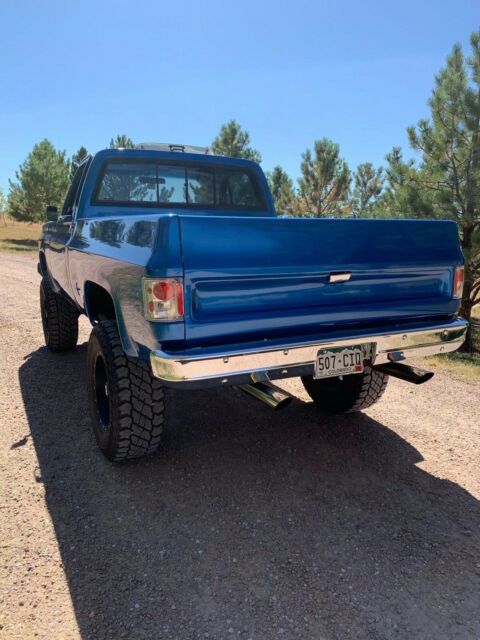 1978 Blue Chevrolet Other Pickups Standard Cab Pickup