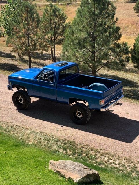 1978 Blue Chevrolet Other Pickups Standard Cab Pickup