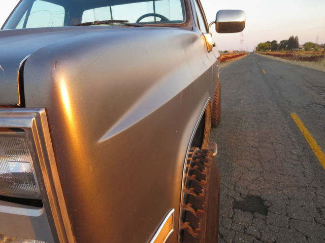1979 Gold Chevrolet C/K Pickup 2500 Standard Cab Pickup