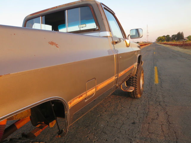 1979 Gold Chevrolet C/K Pickup 2500 Standard Cab Pickup