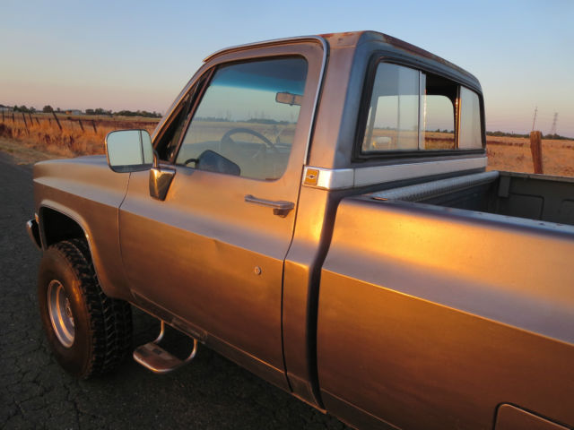 1979 Gold Chevrolet C/K Pickup 2500 Standard Cab Pickup