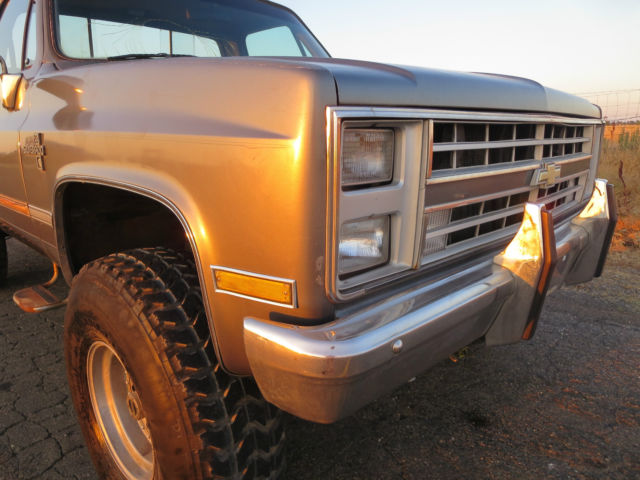 1979 Gold Chevrolet C/K Pickup 2500 Standard Cab Pickup
