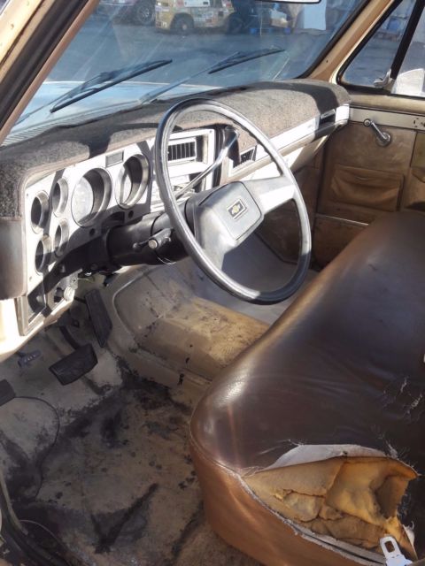 1982 Chevrolet Other Pickups Standard Cab Pickup