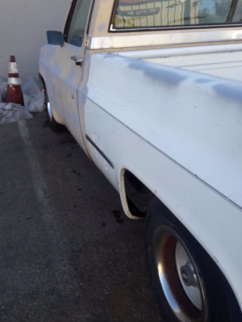 1982 Chevrolet Other Pickups Standard Cab Pickup