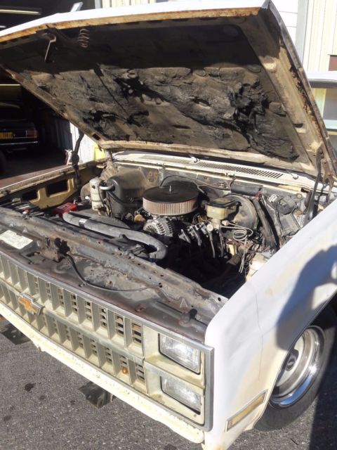 1982 Chevrolet Other Pickups Standard Cab Pickup