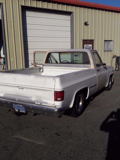 1982 Chevrolet Other Pickups Standard Cab Pickup