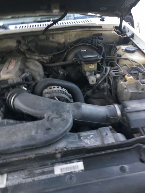 1993 White Chevrolet S-10