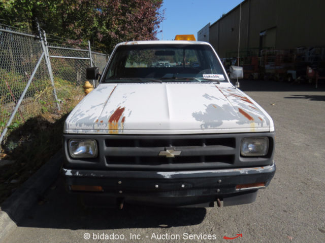 1991 White Chevrolet S-10
