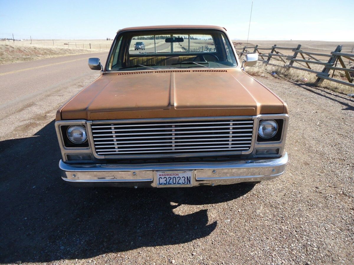 1979 Tan Chevrolet C-10 Standard Cab Pickup