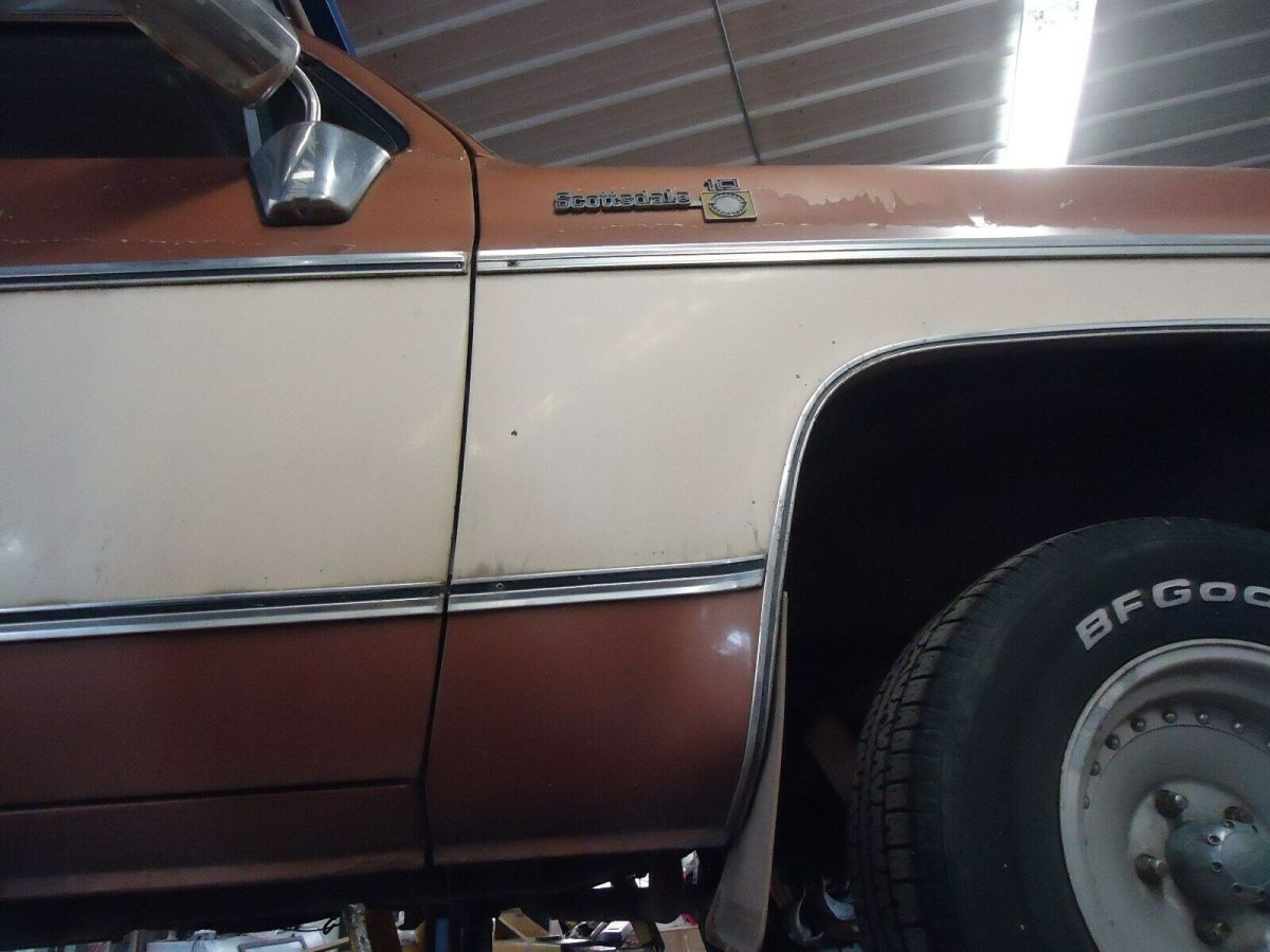 1979 Tan Chevrolet C-10 Standard Cab Pickup