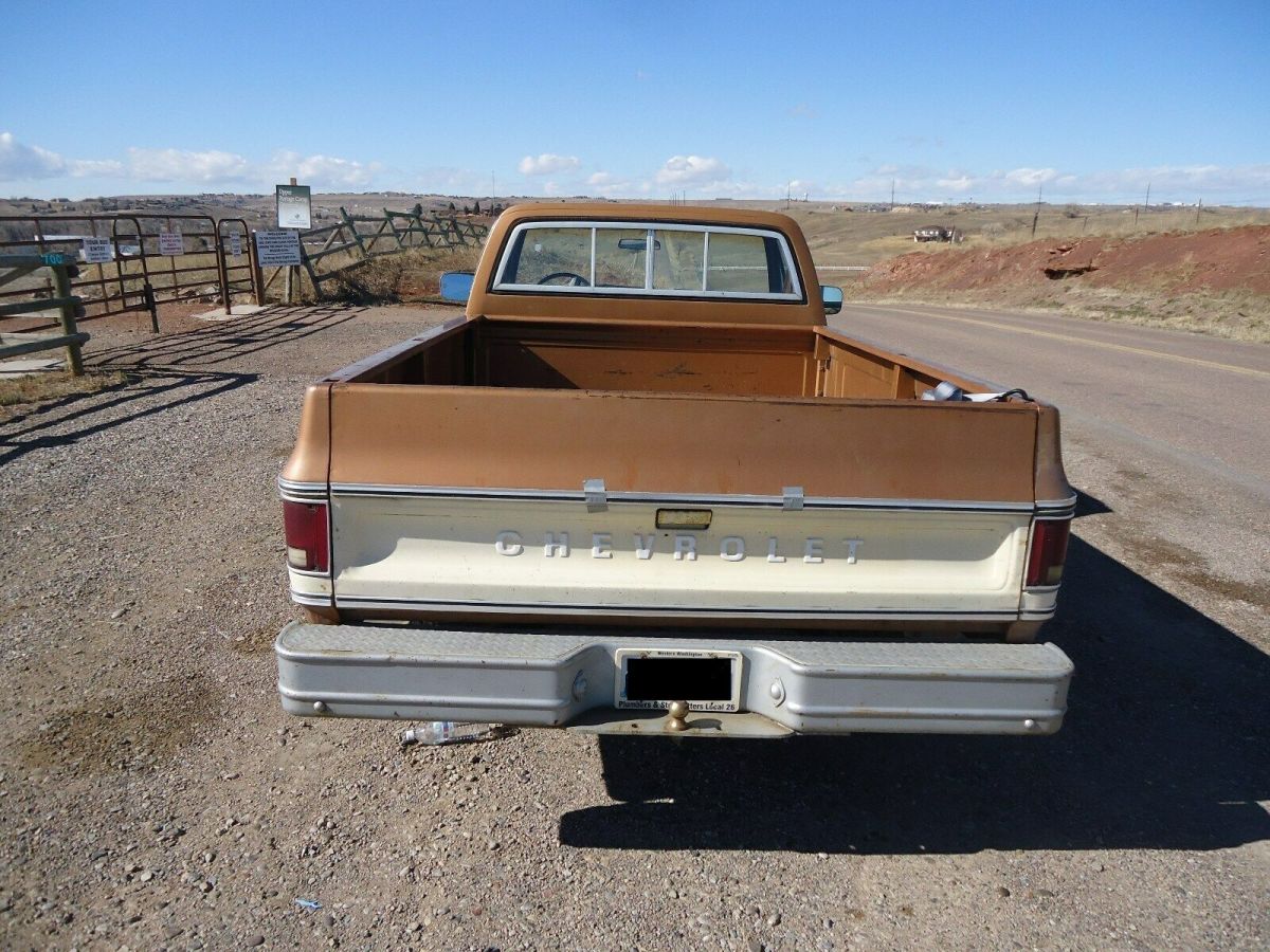 1979 Tan Chevrolet C-10 Standard Cab Pickup