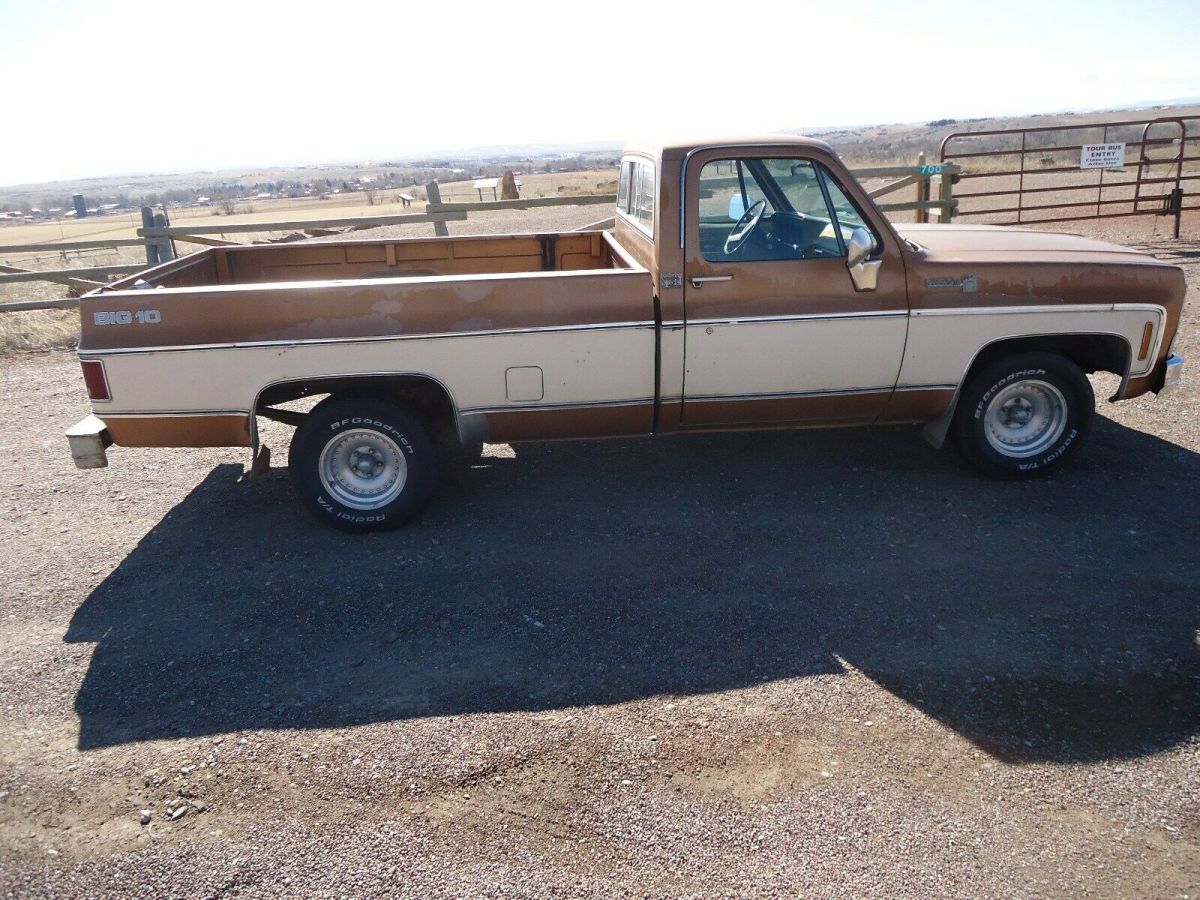 1979 Tan Chevrolet C-10 Standard Cab Pickup