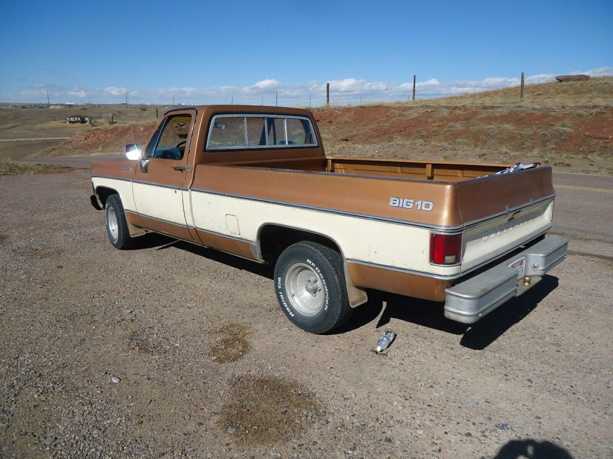 1979 Tan Chevrolet C-10 Standard Cab Pickup