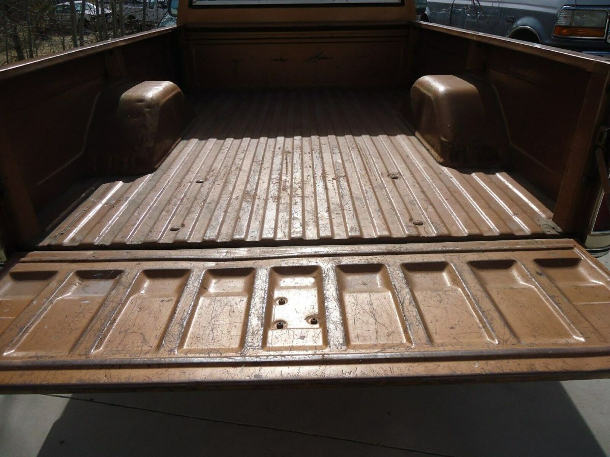 1979 Tan Chevrolet C-10 Standard Cab Pickup