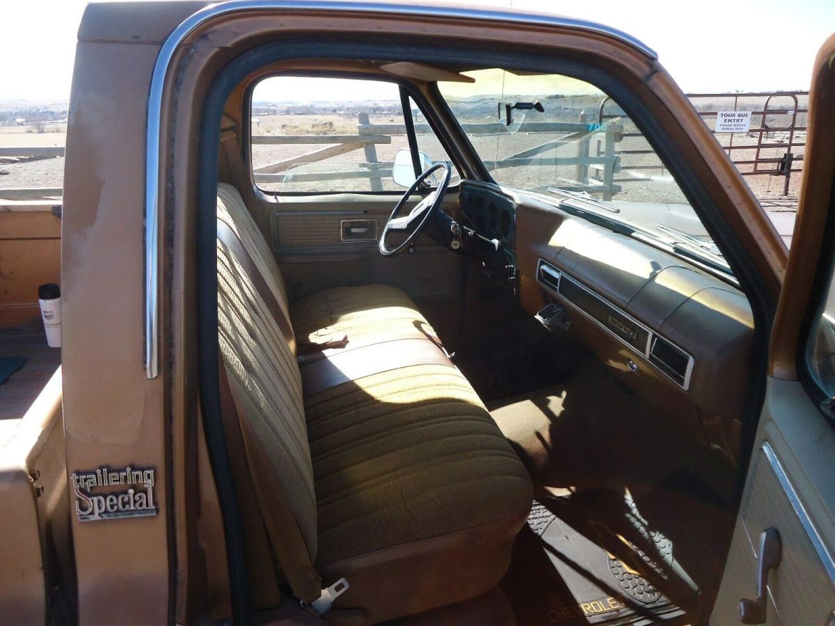 1979 Tan Chevrolet C-10 Standard Cab Pickup