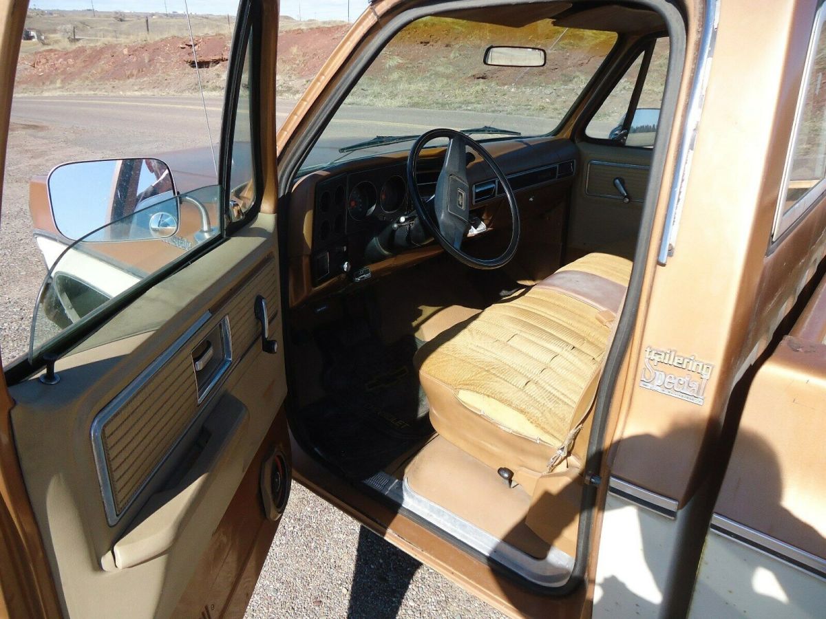 1979 Tan Chevrolet C-10 Standard Cab Pickup