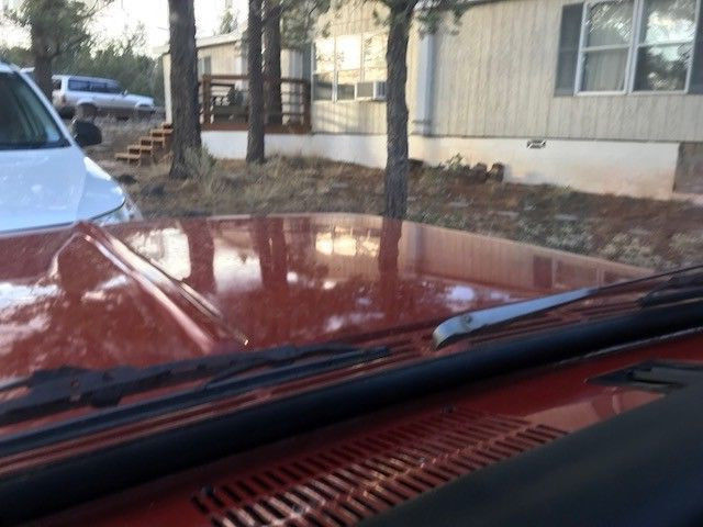 1970 Orange Chevrolet Other Pickups Standard Cab Pickup
