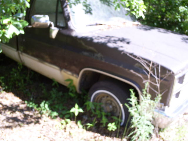 1984 Brown Chevrolet Silverado 1500 Standard Cab Pickup