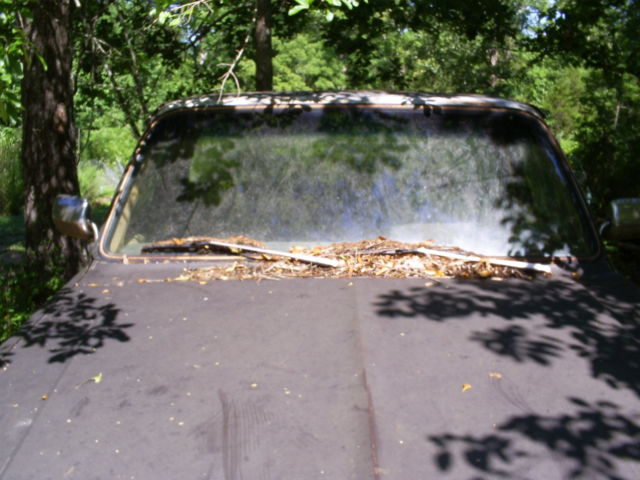 1984 Brown Chevrolet Silverado 1500 Standard Cab Pickup