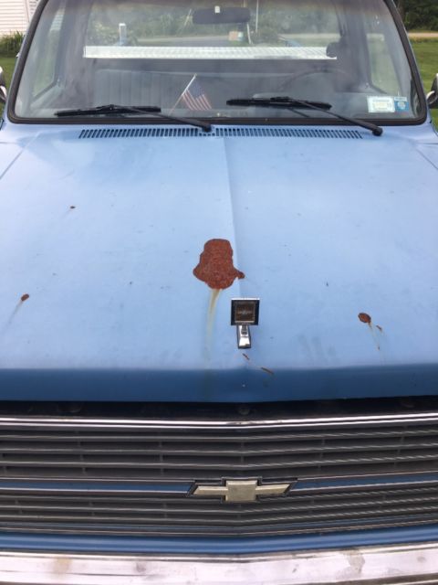 1984 Blue Chevrolet Silverado 1500 Standard Cab Pickup