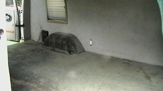 1989 White Chevrolet VAN Van