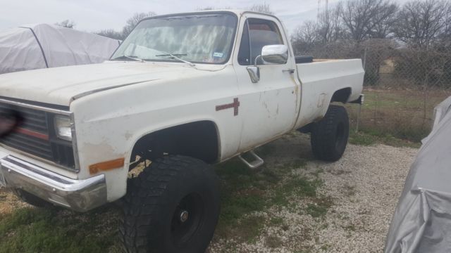 1981 White Chevrolet C/K Pickup 1500 Standard Cab Pickup