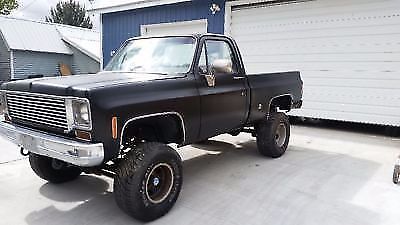 1973 Flat black Chevrolet C/K Pickup 1500 Shot bed p/u