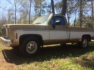 1976 Gold Chevrolet Other Pickups Standard Cab Pickup