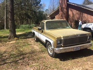 1976 Gold Chevrolet Other Pickups Standard Cab Pickup