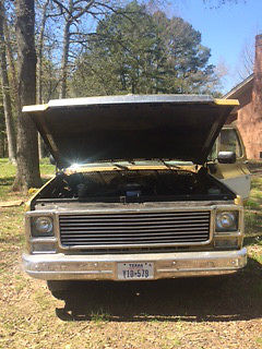 1976 Gold Chevrolet Other Pickups Standard Cab Pickup