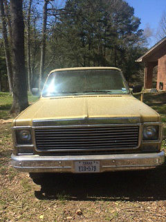 1976 Gold Chevrolet Other Pickups Standard Cab Pickup
