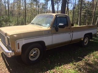 1976 Gold Chevrolet Other Pickups Standard Cab Pickup