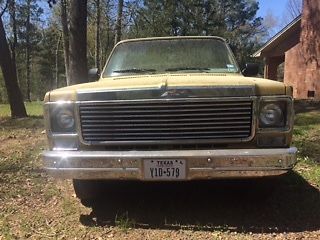 1976 Gold Chevrolet Other Pickups Standard Cab Pickup