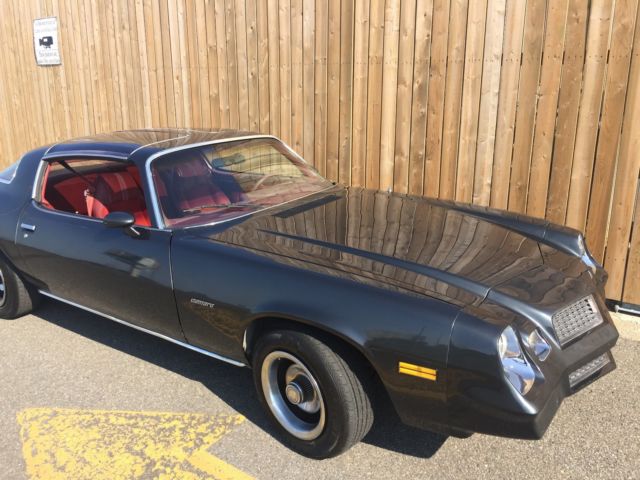 1980 Gray Chevrolet Camaro T-TOPS