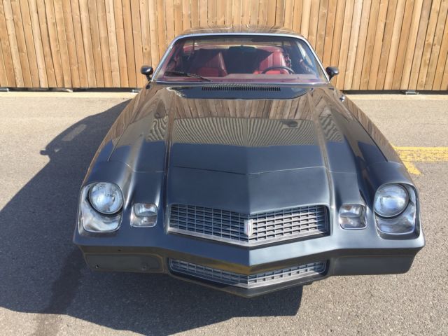 1980 Gray Chevrolet Camaro T-TOPS