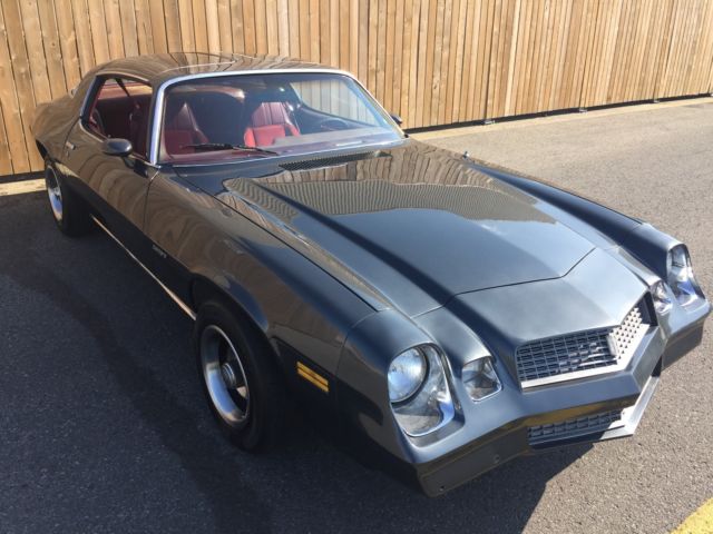 1980 Gray Chevrolet Camaro T-TOPS