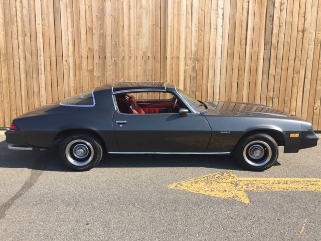 1980 Gray Chevrolet Camaro T-TOPS