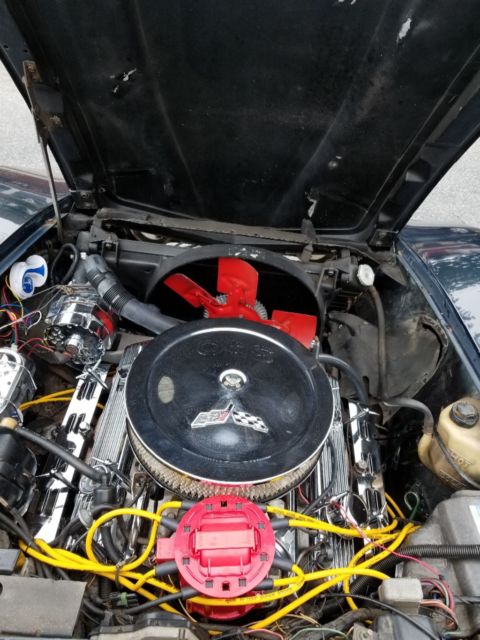 1981 Navy Blue (Two Tone) Chevrolet Corvette Coupe Base