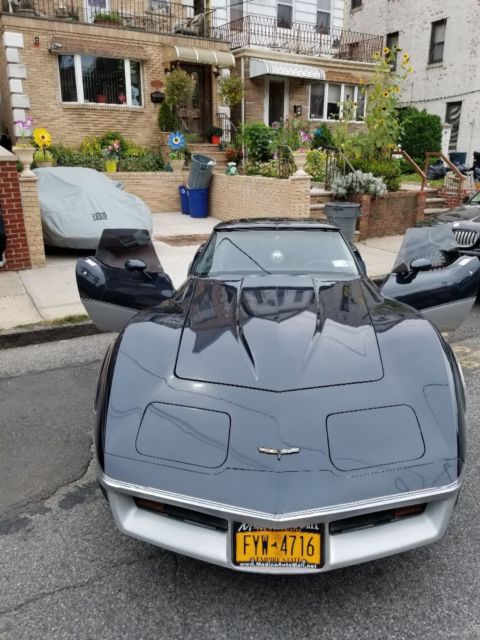 1981 Navy Blue (Two Tone) Chevrolet Corvette Coupe Base