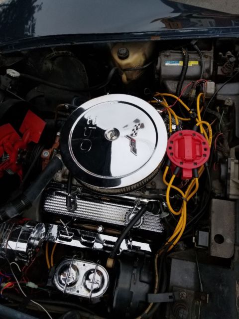 1981 Navy Blue (Two Tone) Chevrolet Corvette Coupe Base