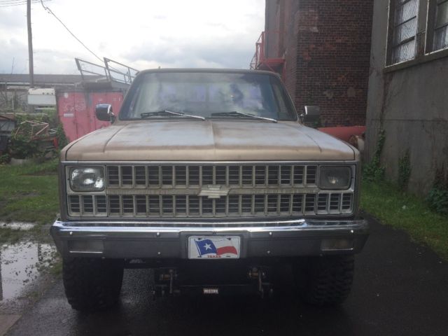 1982 Brown Chevrolet Other Standard Cab Pickup
