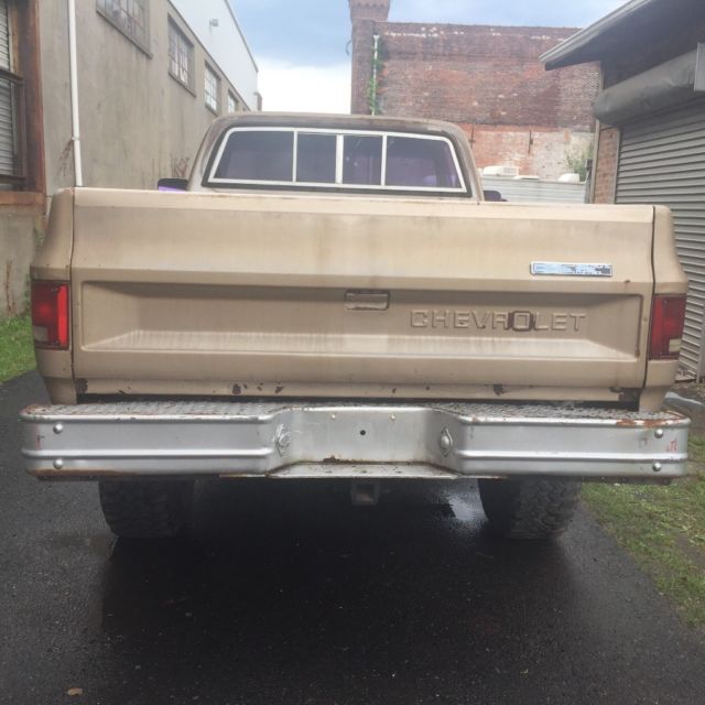 1982 Brown Chevrolet Other Standard Cab Pickup