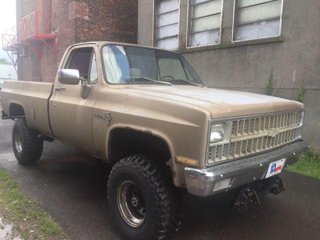 1982 Brown Chevrolet Other Standard Cab Pickup